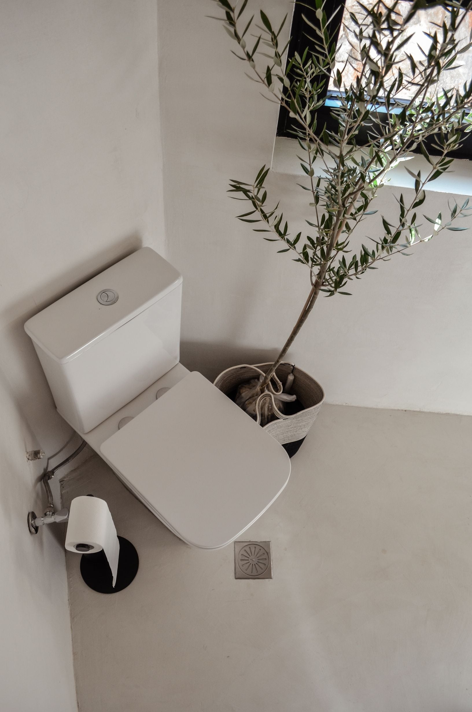 Close-up of a pale basin, metal tap and potted tree — Amoni