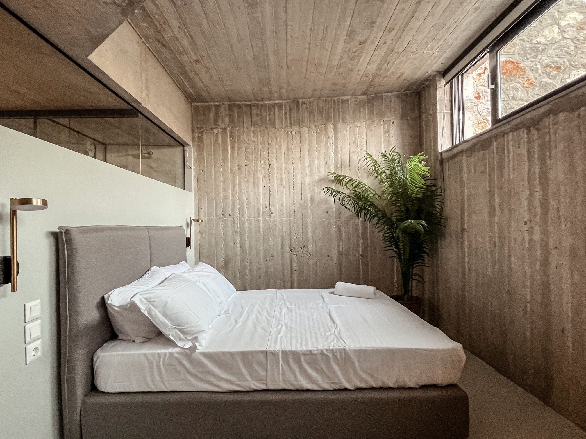 Bedroom with exposed concrete, timber wall panels and a large potted plant — Amoni