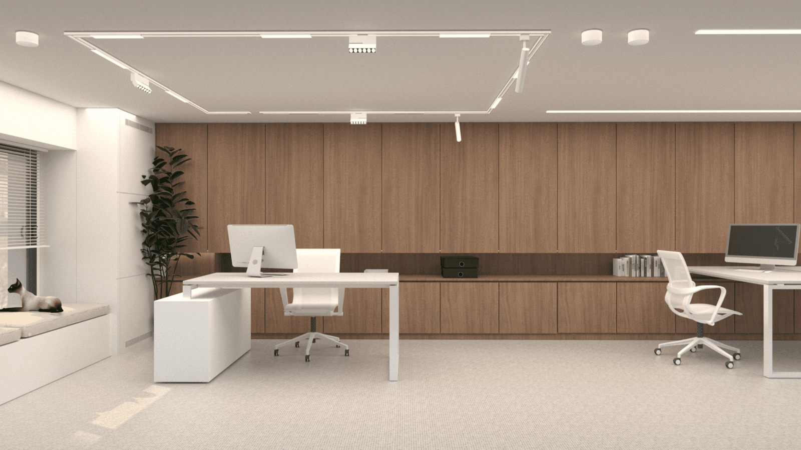 Office desks in front of full-height timber cabinetry — Alkminis
